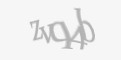 Защитный код