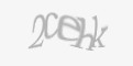 Защитный код