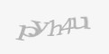 Защитный код