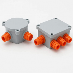 изображение_2026-02-11_220043262