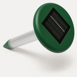 изображение_2026-03-10_202636513