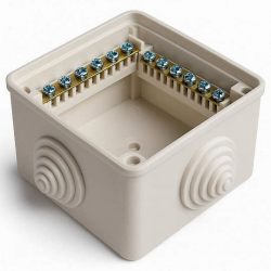 изображение_2026-03-18_004108196